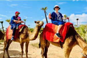 Activities in Marrakech: The Ultimate Guide to Things to Do in Morocco’s Red City